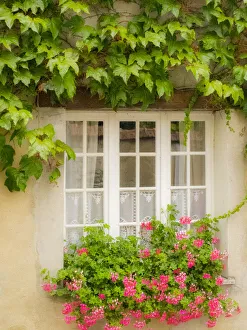 Images Dated 7th September 2017: Claude Monets home, Giverny, France