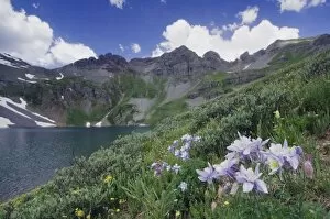 Clear Lake with wildflowers in alpine meadow, Blue Columbine, Colorado Columbine