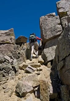 Images Dated 19th August 2008: Climber summiting Windom Peak, Weminuche Wilderness, Needle Range, San Juan National Forest