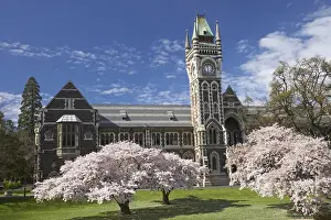 College Prints: Clock Tower, Historical Registry Building and Spring Blossom, University of Otago
