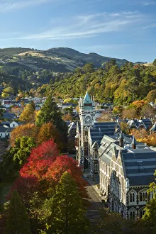 Clock Tower, Registry Building, University of Otago in Autumn, Dunedin, South Island