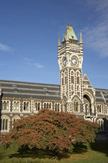 Images Dated 4th May 2009: Clock Tower, Registry Building, University of Otago in Autumn, Dunedin, South Island