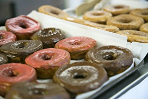 Route 66 Prints: Close up of doughnuts, Springfield, Illinois, USA. Route 66
