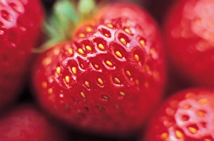 Seed Prints: Close up of Strawberries