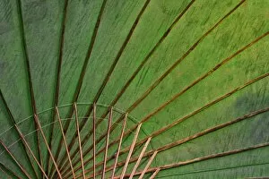 Close-up details of hand made umbrella, Bosang, Chiang Mai, Thailand