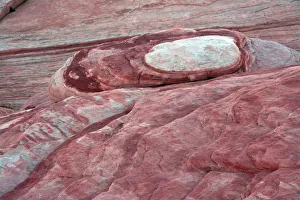 Swirl Prints: Close-up of Fire Wave Trail, Valley of Fire State Park, Nevada, USA