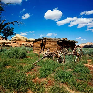 Images Dated 21st February 2006: Close-Up of Kirk Cabin and wagon frame located in the Salt Creek Canyon, Needles