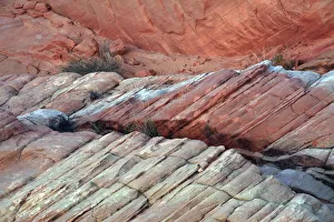 Images Dated 24th March 2018: Close-up of Rainbow Vista, Valley of Fire State Park, Nevada, USA