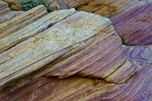 Images Dated 24th March 2018: Close-up, Rainbow Vista, Valley of Fire State Park, Nevada, USA