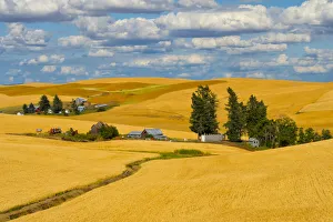 Palouse Prints: Clouds above farm house on wheat field, Palouse, eastern Washington State, USA