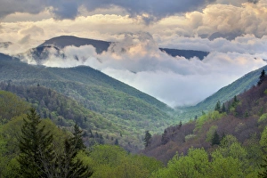 Images Dated 28th April 2011: Clouds in Oconaluftee Valley at sunrise, Great Smoky Mountains National Park, North