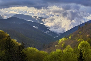 Images Dated 28th April 2011: Clouds in Oconaluftee Valley at sunrise, Great Smoky Mountains National Park, North