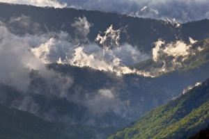 Images Dated 28th April 2011: Clouds in Oconaluftee Valley at sunrise, Great Smoky Mountains National Park, North