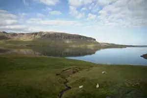Images Dated 10th July 2009: Clouds reflected on waters of calm glacial fjord in the north of Iceland not far