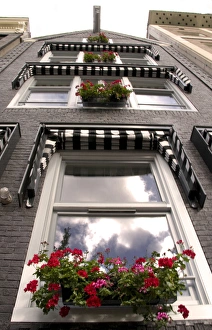 Clouds reflected in windows looking up a building with window boxes of red flowers Clouds reflected in windows looking up a building with window boxes of red flowers