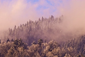 Clouds rolling over mountain peak at sunset, near Newfound Gap, Great Smoky Mountains National Park