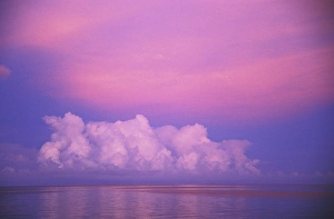 Images Dated 3rd March 2009: Clouds and sunset over water