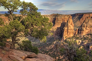Plateau Prints: CO, Colorado National Monument, view from Visitor Center