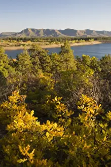 Reservoir Prints: CO, Mancos State Recreation Area, Mancos Reservoir