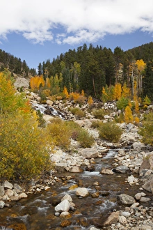 Images Dated 5th October 2011: CO, Rocky Mountain National Park, Alluvial Fan area
