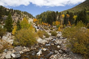 Geological Prints: CO, Rocky Mountain National Park, Alluvial Fan area