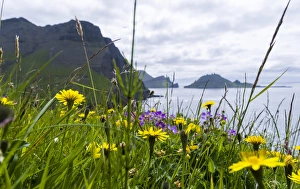 Faroe Prints: The coast near Gasadalur. The island Vagar
