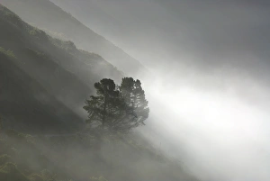 Images Dated 17th June 2006: Coastal cliffs, Big Sur, California