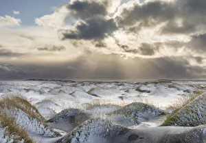 Images Dated 28th January 2020: Coastal landscape with dunes at iconic Stokksnes during winter and stormy conditions