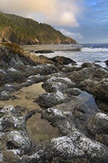 Tide Pool Prints: Coastal landscape, Oregon, USA