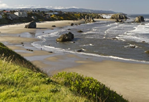 Images Dated 9th May 2011: Coastal views, Bandon, Oregon