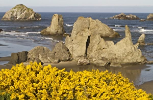 Bandon Prints: Coastal views, Bandon, Oregon