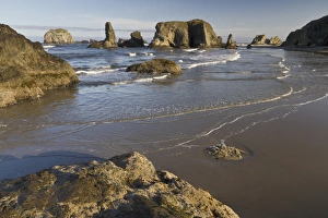 Images Dated 9th May 2011: Coastal views, Bandon, Oregon