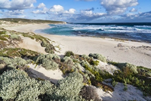 Images Dated 23rd November 2011: The coastline at Hanson Bay on Kangaroo Island, australia