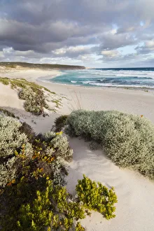 Sandy Beach Prints: The coastline at Hanson Bay on Kangaroo Island, australia