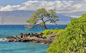 Maui Prints: Coastline along Wailea Beach Path near Polo Beach Park, Maui, Hawaii