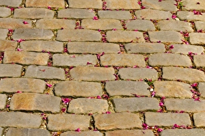 Images Dated 25th April 2011: Cobblestone walkway at Pere Lachaise Cemetery, Paris, France