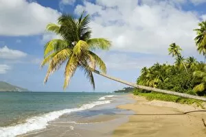 Coconut Grove Beach