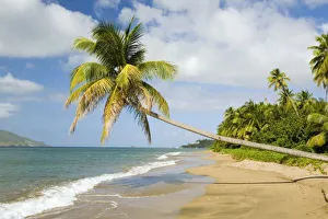 Images Dated 6th December 2006: Coconut Grove Beach