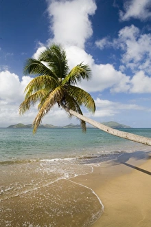 Images Dated 6th December 2006: Coconut Grove Beach at Cades Bay, with St. Kitts on horizon