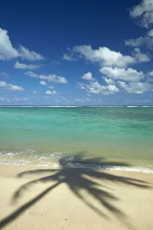 Coconut palm shadow on beach and Pacific Ocean, Rarotonga, Cook Islands, South Pacific