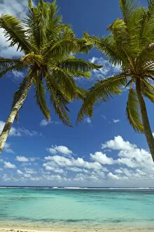 Coconut palm trees and beach, Takitimu District, Rarotonga, Cook Islands, South Pacific