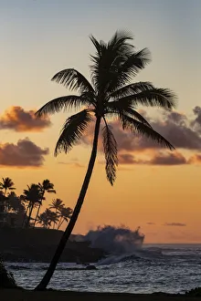 Poipu Prints: Coconut palm trees silhouetted against vivid sunrise clouds at Poipu Beach in Kauai
