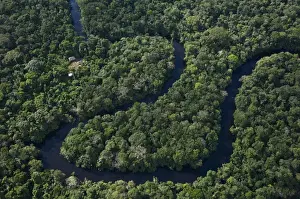Human Culture Prints: Cofan houses in Cuyabeno Reserve