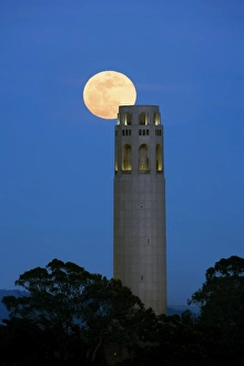 Golden Prints: Coit Tower golden lit from sunset lighting