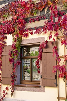 Saxony Prints: Colditz, Germany