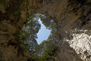 Images Dated 19th December 2009: Collapsed sea cave near Hahei, Coromandel Peninsula, North Island, New Zealand