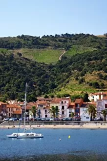 Collioure. Roussillon. The beach and the village. France. Europe. Vineyard