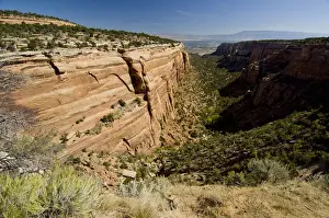 Images Dated 23rd September 2008: Colorado, Grand Junction, Colorado National Monument. Red Canyon, typical canyon views