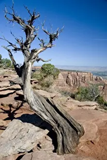 Images Dated 23rd September 2008: Colorado, Grand Junction, Colorado National Monument. Rim Rock Drive views
