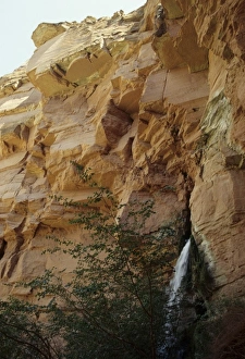 Pretty Prints: Colorado River, Grand Canyon, Arizona, United States